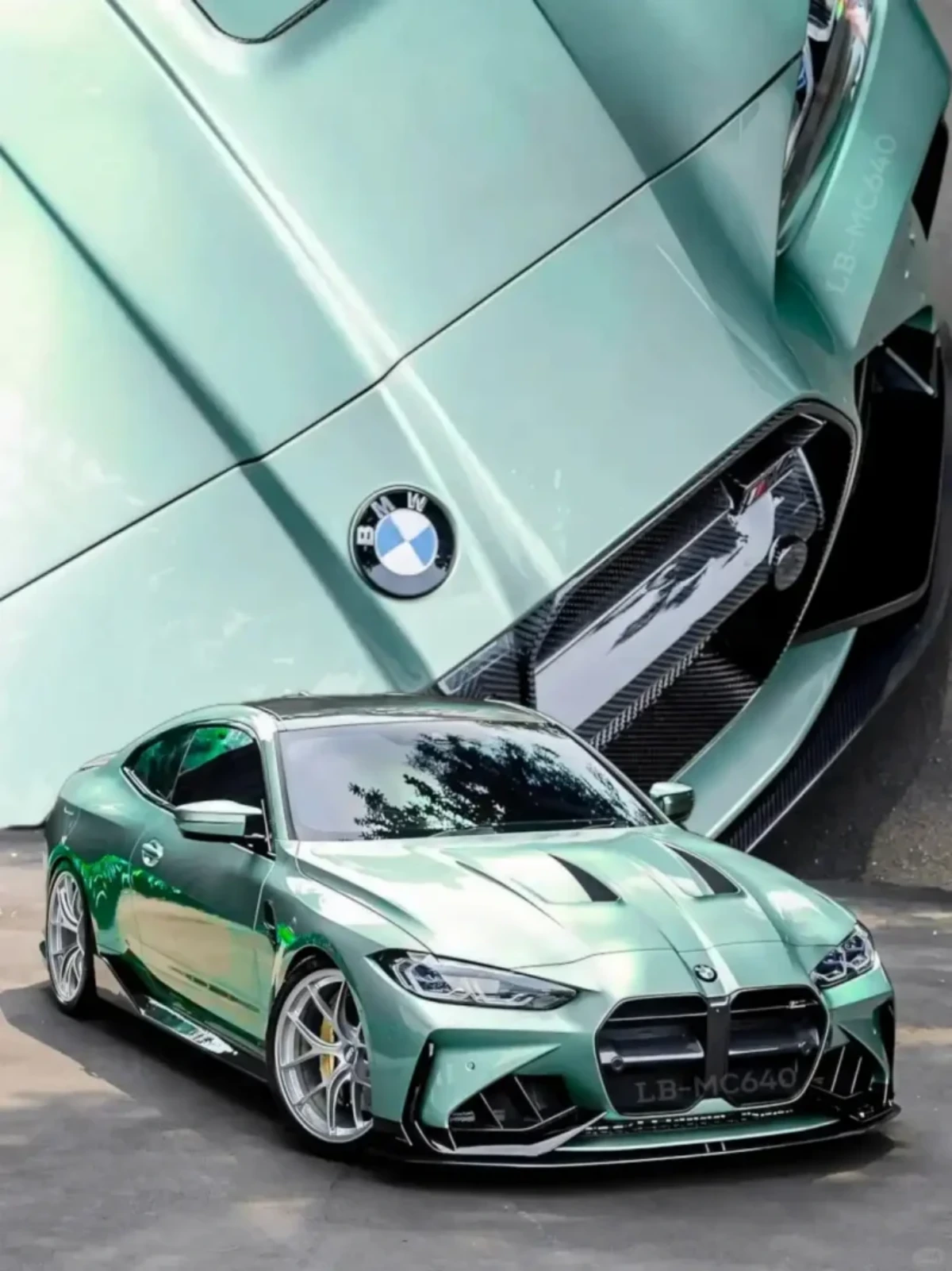 Window Film
